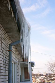 Thick icicles frozen on a water pipe on a roof