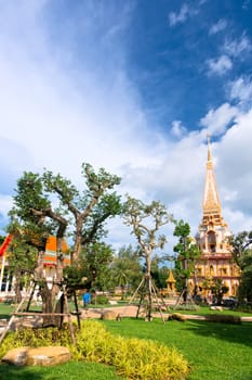 Green park of a buddhist temple, Thailand