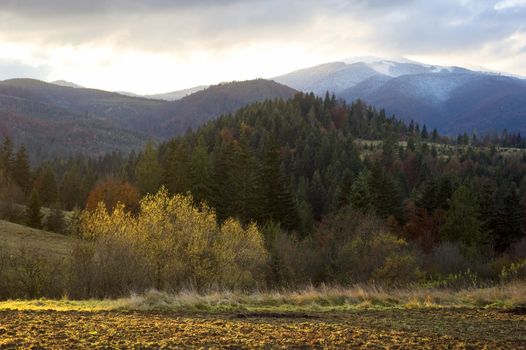 Beautiful autumn view of Carpathian Mountains. Ukraine