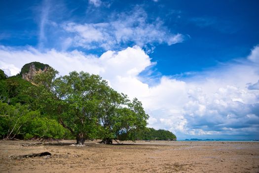 Low tide on the west Railay beach, Thailand