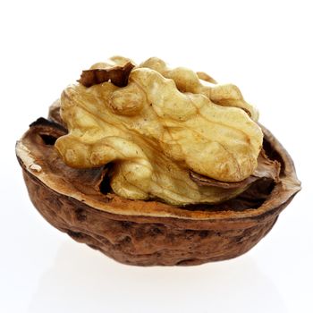 Cracked Walnut on a white background in square format