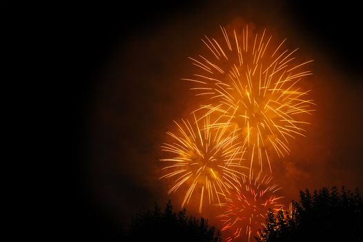 Firework bursts in the night sky, over trees (just visible). Space for text in the dark of the night sky.