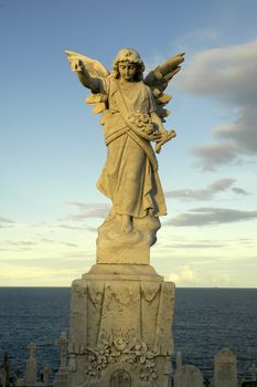 angel sculpture in sydney coast, ocean in background