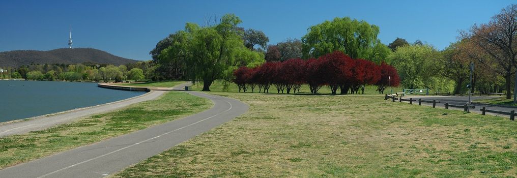 canberra scenery panorama, telstra tower in background, lake burley griffin