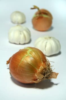 onions and garlics on white background, only one onion is in focus