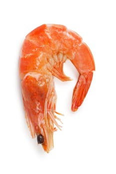 Closeup view of shrimp isolated on the white background