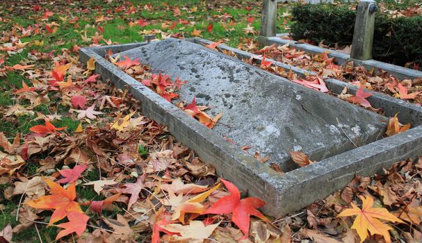 Tombstone in a graveyard covered with red autumn leaves