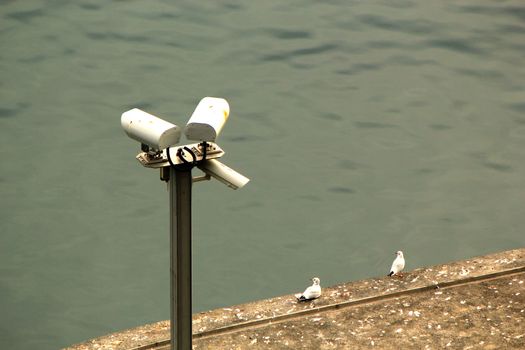 Three security video cameras next to water and a wall with two seagulls standing