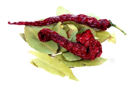Dried red peppers resting on bay leaves isolated on white