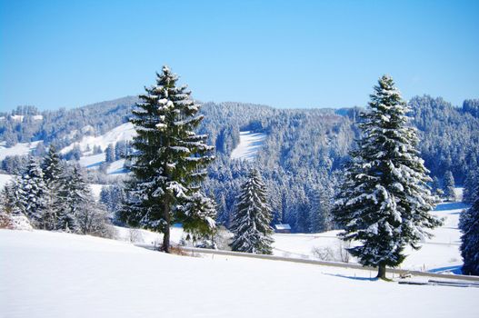 beautiful snowy winter landscape at Christmas time...