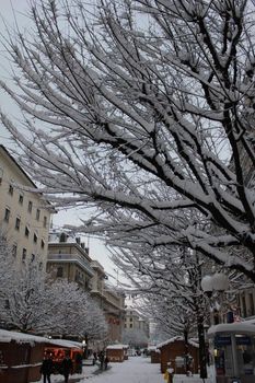 snow and trees and houses