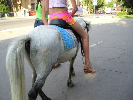 girl goes horse riding in the urban park. 