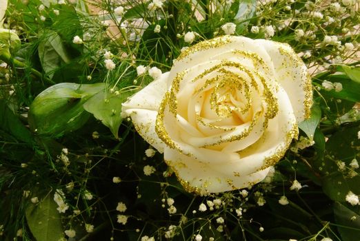 Rose with shiny gold dust