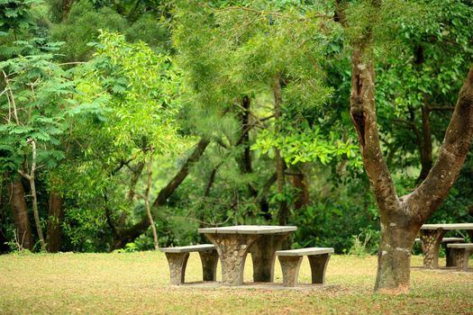 picnic place