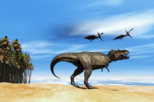 Two Pterodactyl flying dinosaurs fly over beastly Tyrannosaurus Rex at the seashore in prehistoric times.