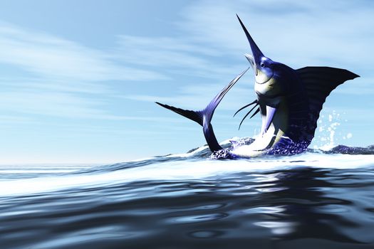 A Blue Marlin jumps through the ocean surface in a spray of water.