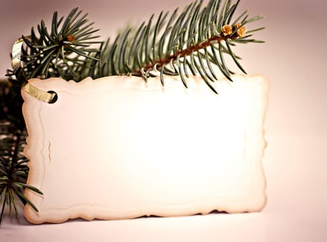 To spruce branch hanging Christmas greeting cards.
