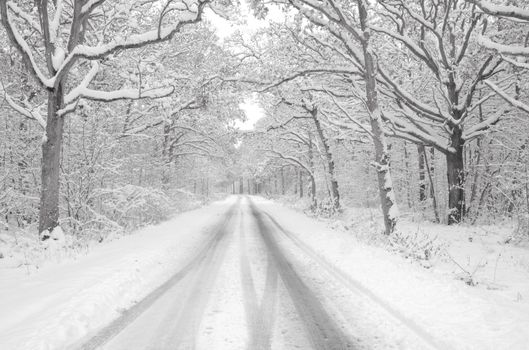 black and white , a snow covered road in rural kent