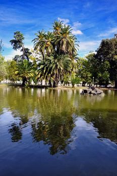 trees lake portugal park green reflection sunlight military outdoors