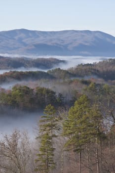 great smoky mountain national park a lot of fog great colors