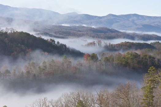 great smoky mountain national park a lot of fog great colors