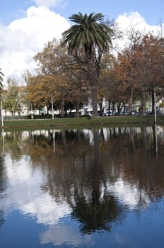 Landscape Portugal park a place to relax beside the lake