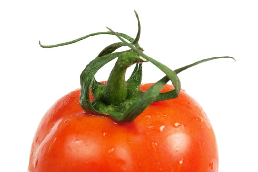 Closeup view of single tomato isolated on the white