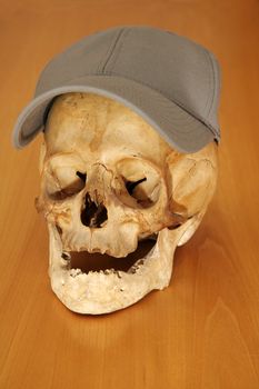 skull with grey baseball cap on brown wooden background