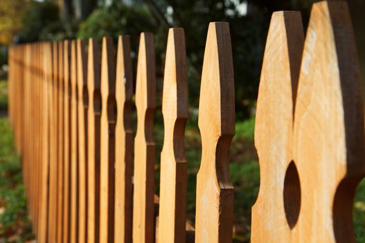 Brown Stain wood fence in perspective with green grass and bushes in background