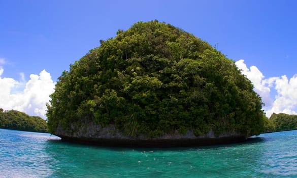 Rocks sea