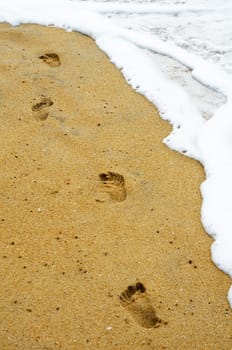 Footprints along the water edge of brown sandy beach.