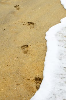 Walking away footprints on water edge of brown sandy beach.