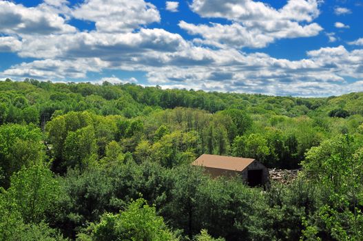 Beautiful clouds and greenery during summer months in US