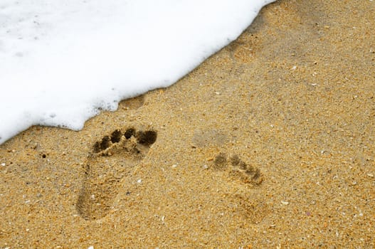 Footprints on water edge of brown sandy beach.