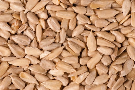 A stack of fresh peeled sunflower seeds