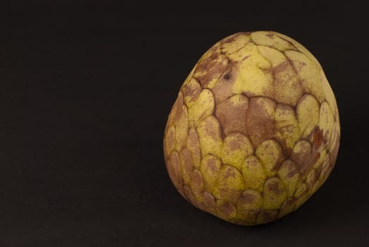 Single ripe isolated cherimoya fruit isolated on black