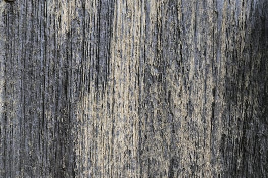 Abstract wooden texture background at close up