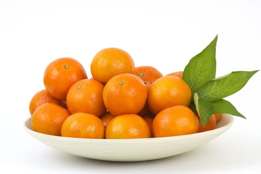 fresh tangerines