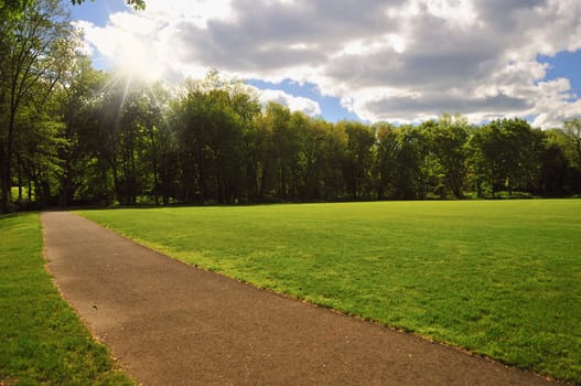 A lush green park on a bright sunny day