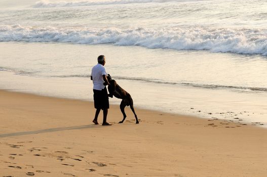 A healthy adult playing with the dog at the beach