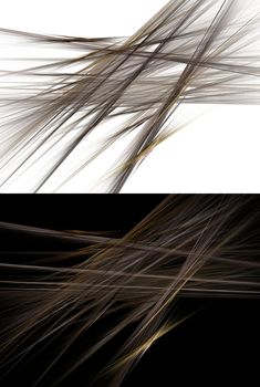 Set of abstract brown hair fiber background over black and over white.