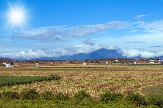 a beautiful rural landscape on a bright sunny day