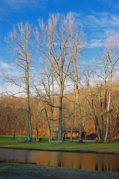 A beautiful park during the spring time