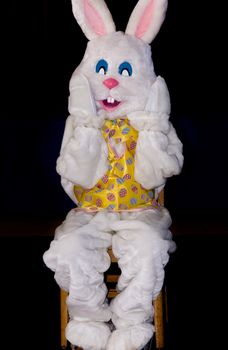 Rabbit sitting in a chair for Easter
