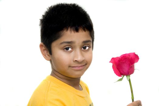 handsome indian kid holding flower for valentine