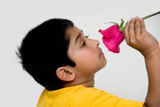 handsome indian kid holding flower for valentine
