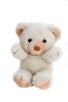 Teddy Bear isolated on a white background