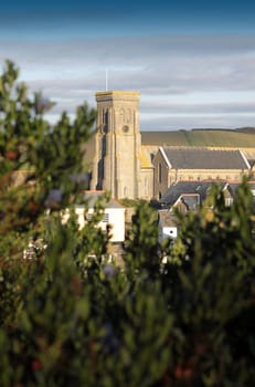 View of a church tower through green shrubbery. Located in Salcombe, Devon.