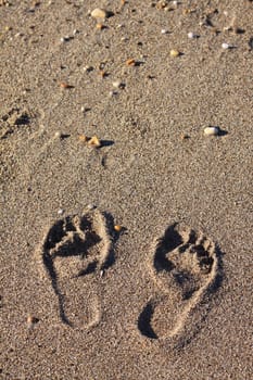 A pair of footprints in the sand.