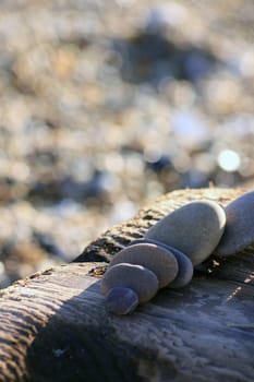 Beach pebbles in various sizes and colors set on a block of drift wood found on the beach. A pebble and shingle beach background in soft focus.